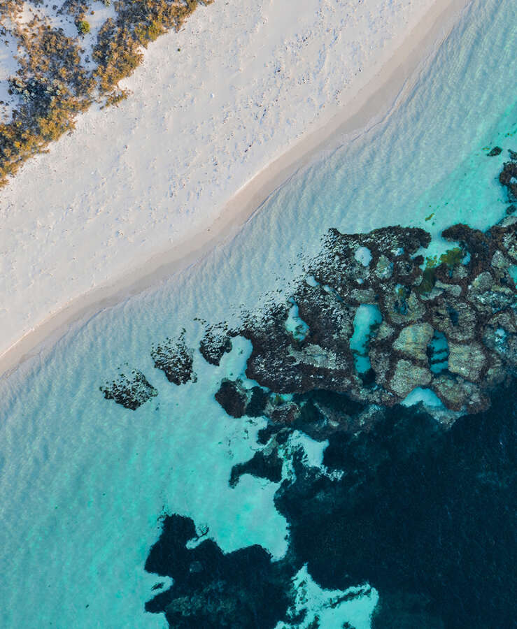 Rottnest Island | Wadjemup Tourism Western Australia