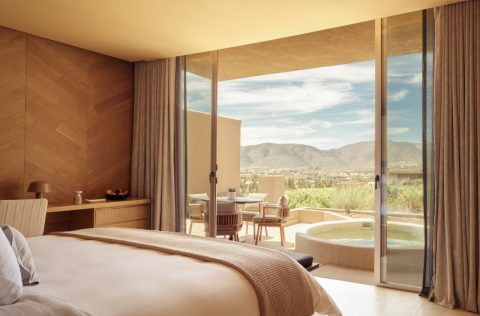 Banyan Tree Veya Valle de Guadalupe, Mexico