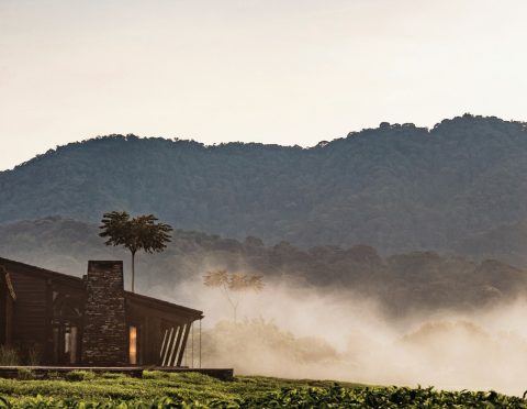 One & Only Nyungwe House, Rwanda