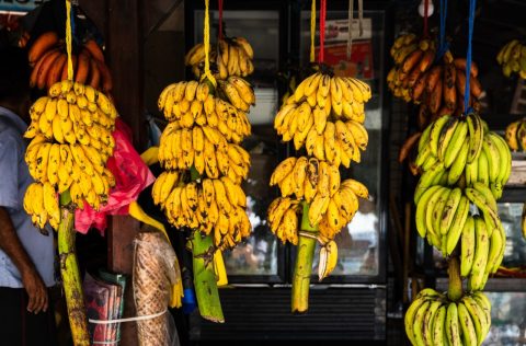 Hanging fruit at a stand in Sri Lanka