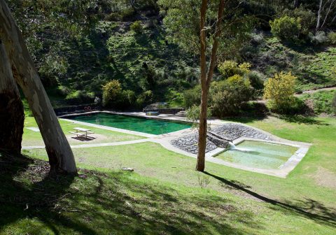 Yarrangobilly Thermal Pool