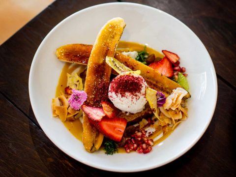 The Ultimate Guide to Cairns According to a Local