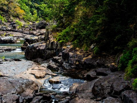 The Ultimate Guide to Cairns According to a Local