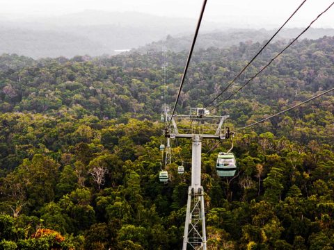 The Ultimate Guide to Cairns According to a Local