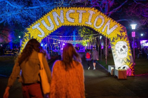 Junction Arts Festival