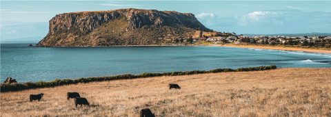 Find Flights with Qantas Now