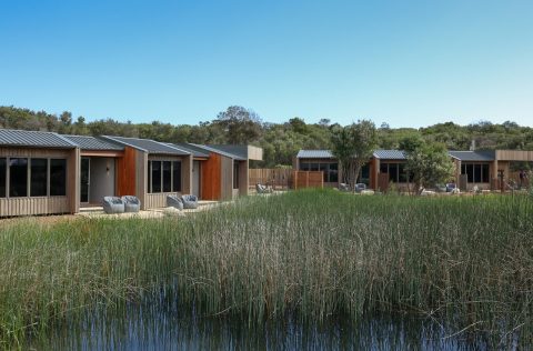 Peninsula Hot Springs Eco Lodges
