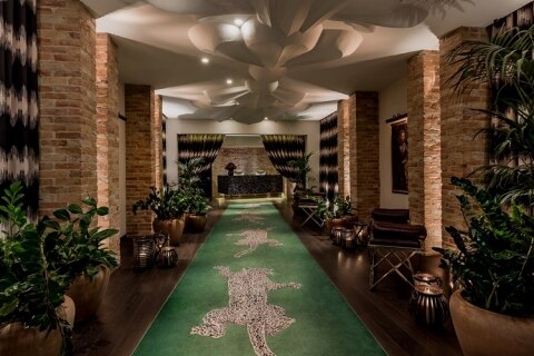 Hotel Zoo