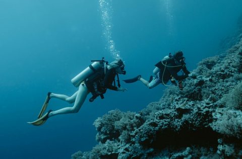 Scuba diving in Palau