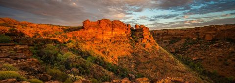 Find Flights with Qantas Now