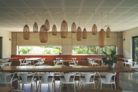 chows interior