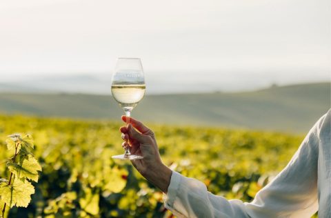 A glass of Champagne raised in a vineyard