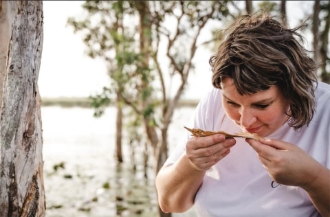 Forage for botanicals on a helicopter tour, Northern Territory
