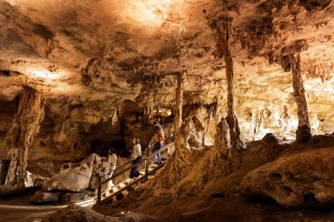 Naracoorte Caves National Park, Vic