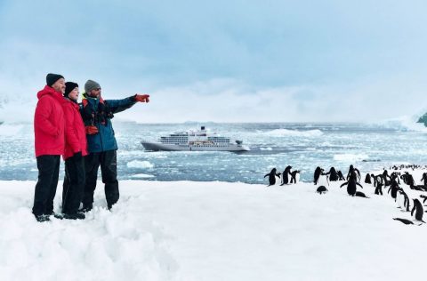 Penguin highway, Antarctica