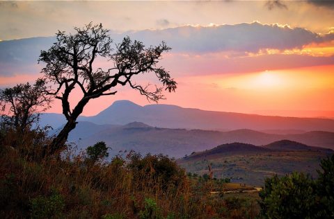 South Africa