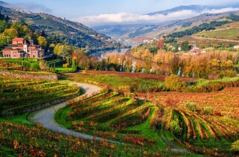 Extend your Douro discovery