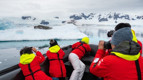 Cuverville Island, Hurtigruten, Antarctica