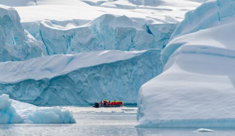 Cuverville Island, Hurtigruten, Antarctica