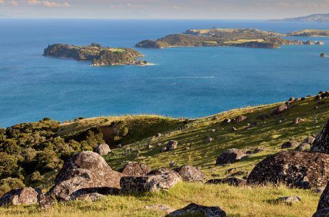 Find Flights with Qantas Now