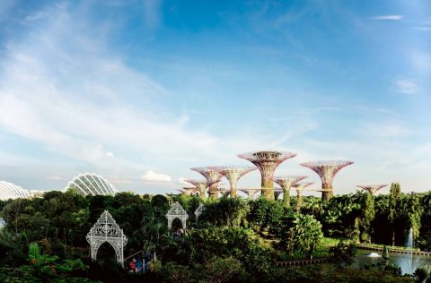 Gardens by the Bay, Singapore
