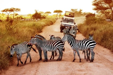 Botswana