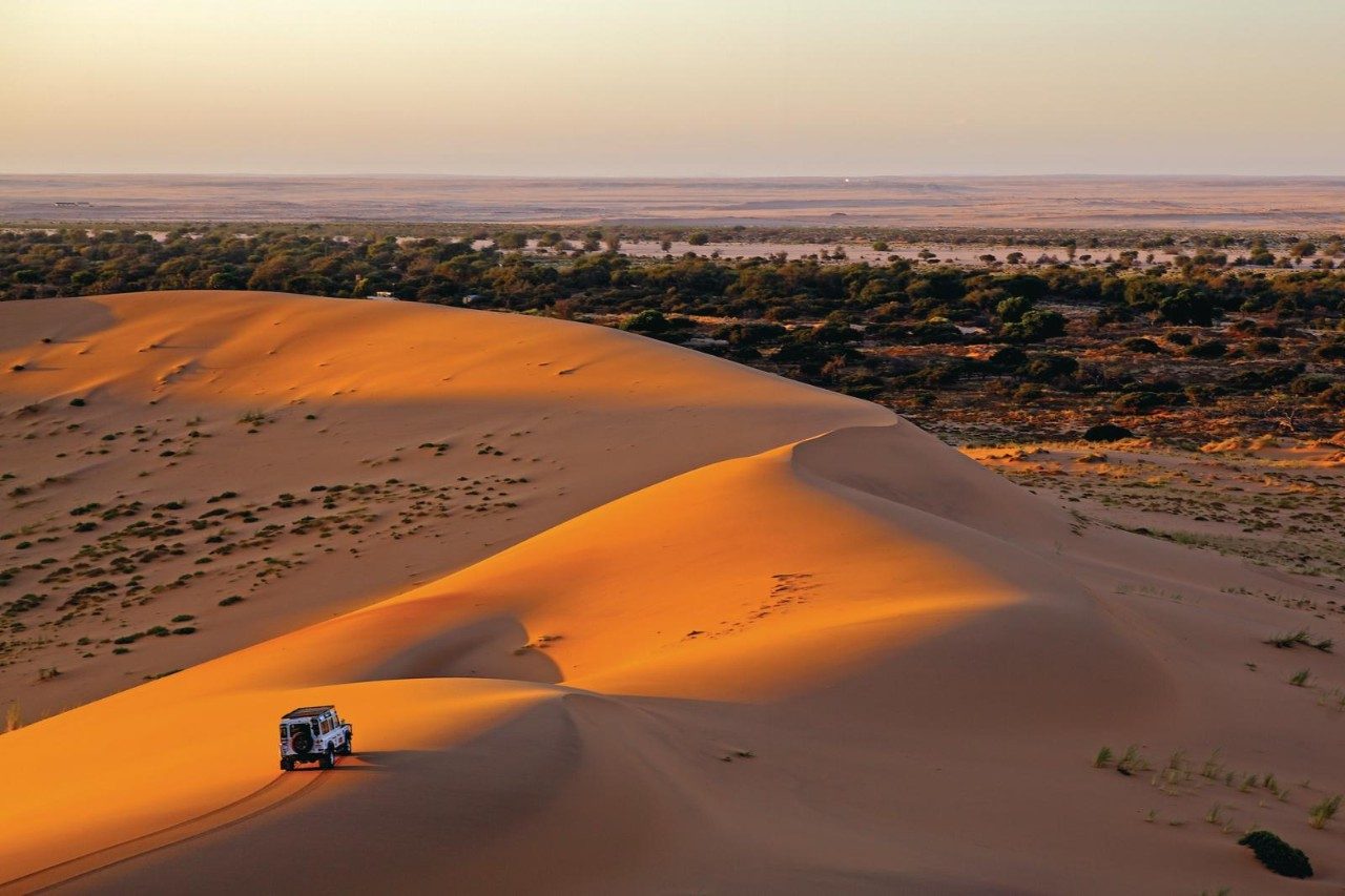 Budget safaris