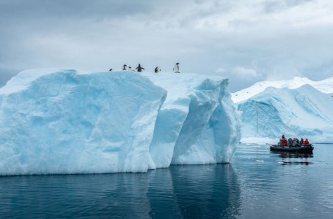 Exploring Antarctica