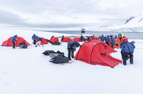 Camp under the Antarctic night sky