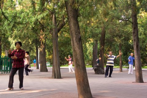 Zhongshan Park