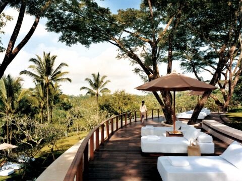 Organise travel insurance