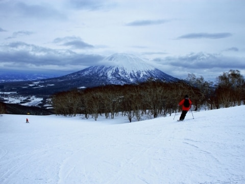 Skiing in Niseko