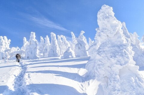 snowy landscape