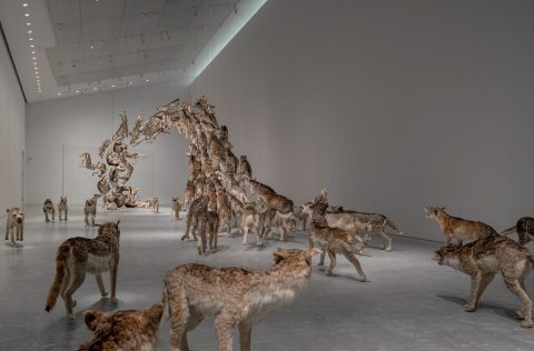 Head On by Cai Guo-Qiang