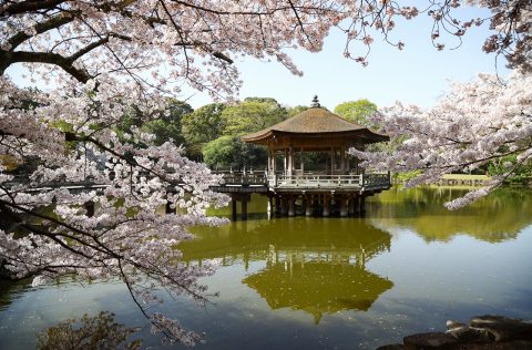 Nara Park