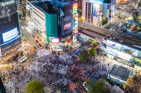 Get that shot at the Shibuya Crossing