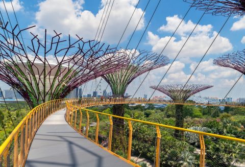 Hide out in a city oasis