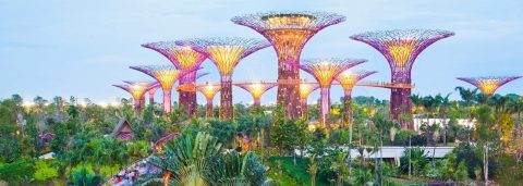 Find Flights with Qantas Now