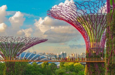 Gardens by the Bay, Singapore
