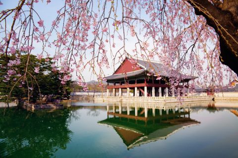 Visit the Gyeongbokgung Palace