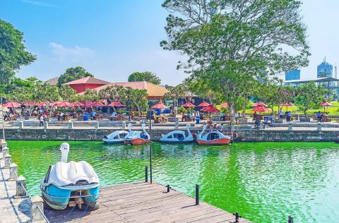 Find Flights with Qantas Now