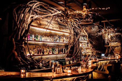 Discover a secret bar