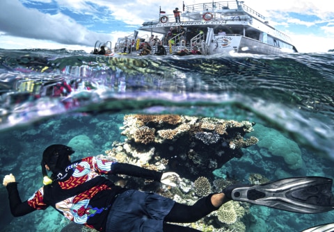 Dreamtime Dive & Snorkel, Qld