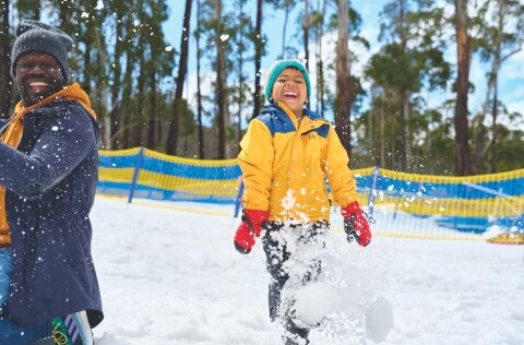 Go tobogganing on snow… or steel