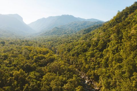 Find Flights with Qantas Now