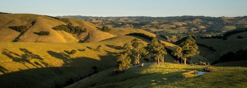 Find Flights with Qantas Now