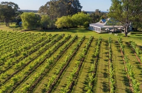 Spicers Vineyards Estate, NSW
