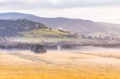 Berry, NSW