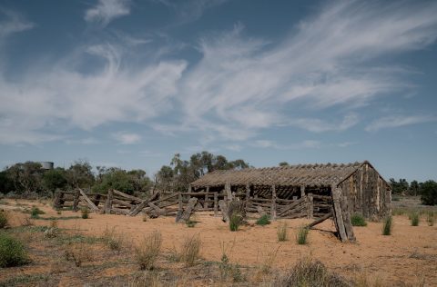 Mungo National Park