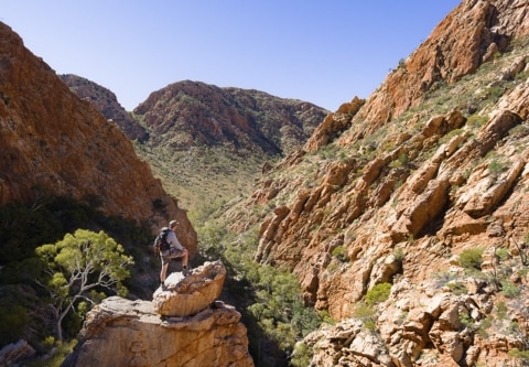 Trek Larapinta trail tour
